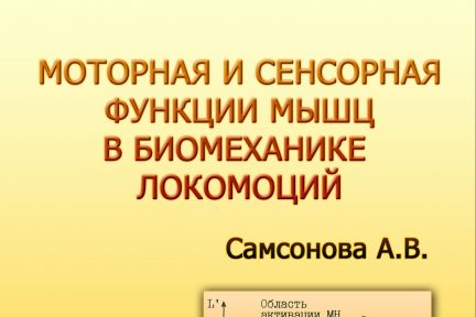 Миниатюра для записи Моторная и сенсорная функции мышц в биомеханике локомоций
