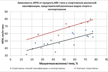 Миниатюра для записи Взаимосвязь между МПК и композицией мышечных волокон